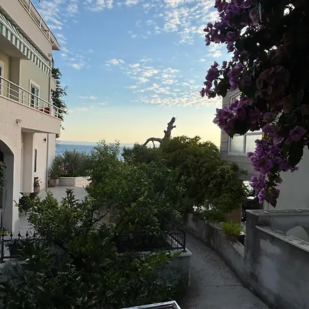 Meri 프로마이나